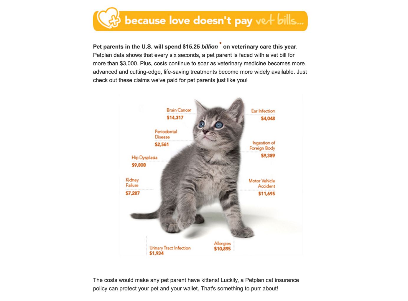 Скриншот веб-страницы страхования домашних животных со списком возможных расходов на медицинское обслуживание